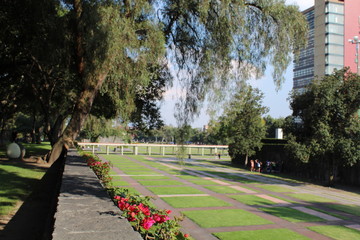 Arboles y pasajes hermosos