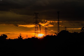 Fototapeta premium cranes at sunset