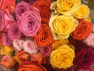 bouquet of roses