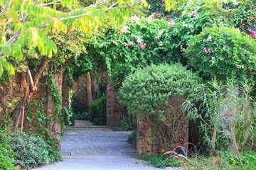 English garden in summer time