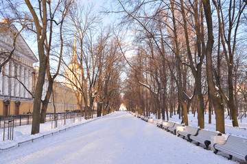 Obraz premium Alley in Alexander Garden in Saint Petersburg.