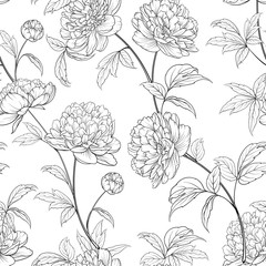 Seamless wallpaper of of Peonies flowers elements. Digital flat illustration of blossom peony seamless pattern from elements on a white background. Bouquet of Peony. Decoration isolated against white. © Kotkoa