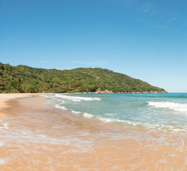 Obraz premium Beautiful Parnaioca beach with crystal blue water and clear sand, deserted tropical beach on the sunny coast of Rio de Janeiro, Ilha Grande in the city of Agnra dos Reis, Brazil