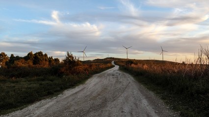 molinos camino © Javier