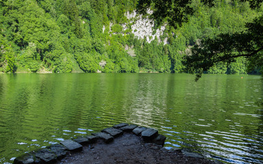 "Lagoa do Congro" lagoon surrounded by green forest located on Sao Miguel, Azores, Portugal. © cicerocastro