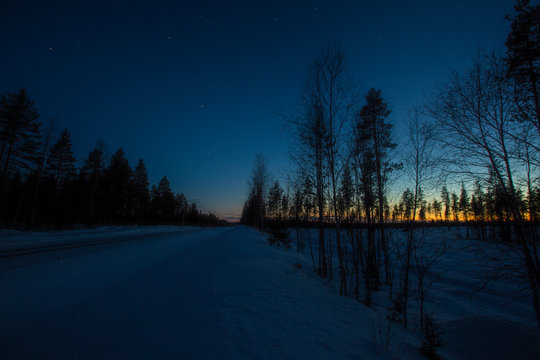 Sunset in the Forest of the Arctic Circle
