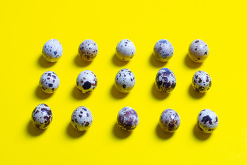 Many quail eggs on a yellow background,quail eggs design concept, flat lay, view from above.