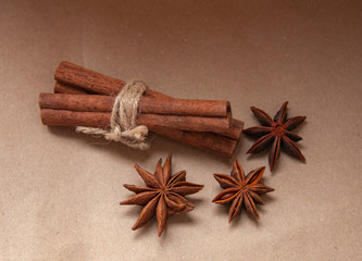 Cinnamon stick with star anis on the craft background