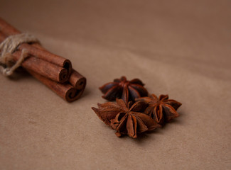 Cinnamon stick with star anis on the craft background