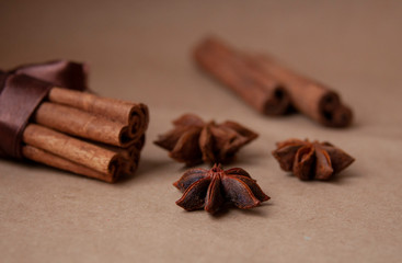 Cinnamon stick with star anis on the craft background