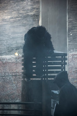 protestas en chile desde octubre 2019