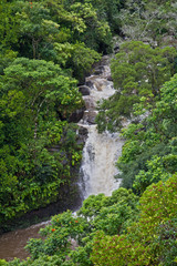 Fototapeta na wymiar Jungle Waterfall