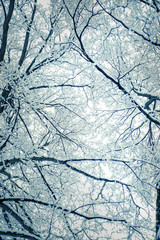 Freshly fallen snow landscape