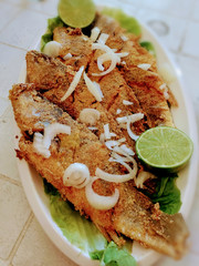 grilled salmon steak with salad