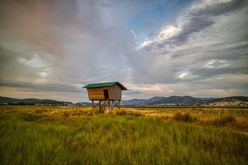 mirador