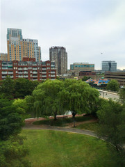 Obraz premium City view with a park