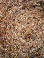 Close up of a bale of hay