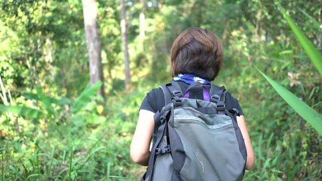 Hipster woman walking to the forest for hiking on mountain