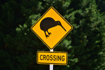 Road sign 