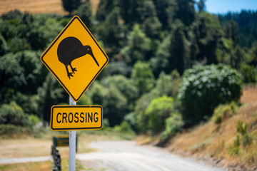 Road sign "Kiwi Crossing", New Zealand