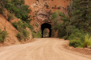 tunnel in the park