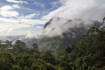 Low cloud on Ella rock