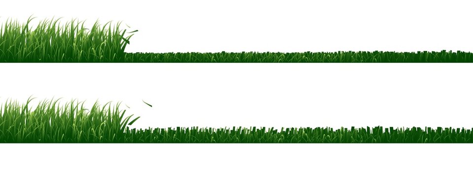 Cutted grass 2025