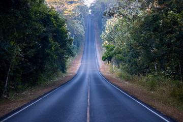 road in the forest