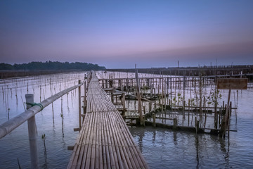 Fototapeta premium Golden natural sea sunrise view of Mangrove forest and small wooden bridge at horizon with people silhouette and orange sky landscape. Sunrise scenery Bangkok sea at Bangkhuntien, Bangkok, Thailand.