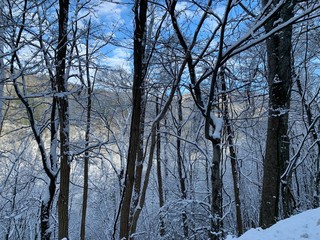 Winter Mountain Landscape