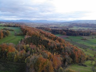 Herbstwald 