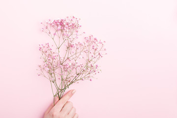 Obraz premium Minimal flower composition.. female hand holding colorful gypsophila over pink pastel background. Flat lay, top view, copy space, mockup