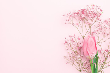 Minimal flower composition.. gypsophila and pink tulip floral background.  Flat lay, top view, copy...