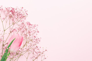 Minimal flower composition.. gypsophila and pink tulip floral pastel background. Flat lay, top view, copy space, mockup