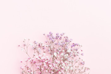 Minimal flower composition.. colorful gypsophila floral background.  Flat lay, top view, copy space, mockup