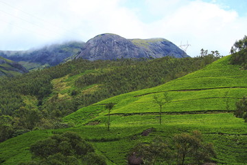 A HDR shot of Nilgiri Meadows from higher grounds