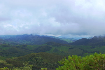 Naklejka premium A HDR shot of Nilgiri Meadows from higher grounds
