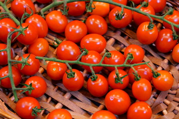 Branches of colorful tomatoes at the farmers market