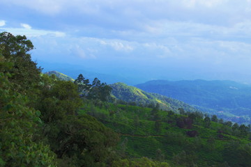 A HDR shot of Nilgiri Meadows from higher grounds