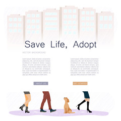 Homeless dog between feet