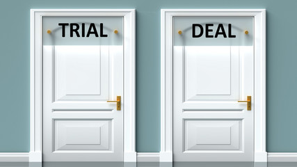 Trial and deal as a choice - pictured as words Trial, deal on doors to show that Trial and deal are opposite options while making decision, 3d illustration