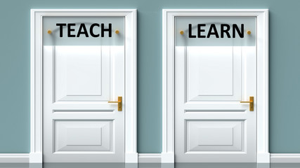 Teach and learn as a choice - pictured as words Teach, learn on doors to show that Teach and learn are opposite options while making decision, 3d illustration
