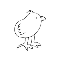 Hand drawn chicken with big foots vector illustration.
