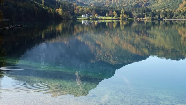 Sunny idyllic colorful autumn alpine video. Peaceful mountain lake with clear transparent water and reflections. Langbathseen lake, Upper Austria.