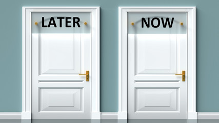 Later and now as a choice - pictured as words Later, now on doors to show that Later and now are opposite options while making decision, 3d illustration