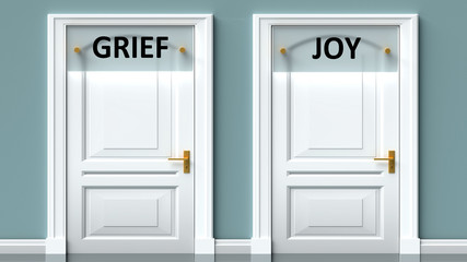 Grief and joy as a choice - pictured as words Grief, joy on doors to show that Grief and joy are opposite options while making decision, 3d illustration