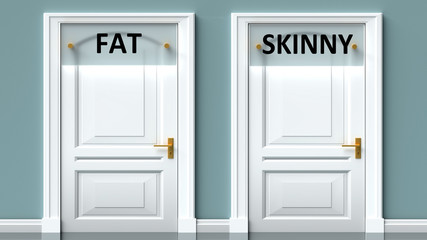 Fat and skinny as a choice - pictured as words Fat, skinny on doors to show that Fat and skinny are opposite options while making decision, 3d illustration