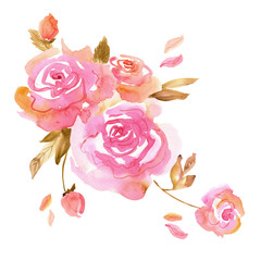 Watercolor hand painted pink roses on a white  background. Background for invitation,  greeting card