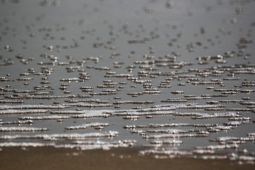 The texture of the bubbles on the water during a storm