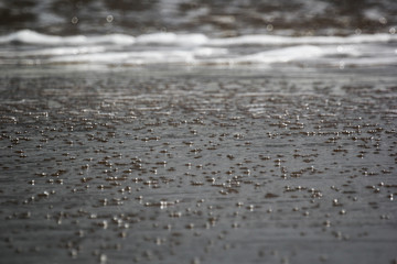 The texture of the bubbles on the water during a storm